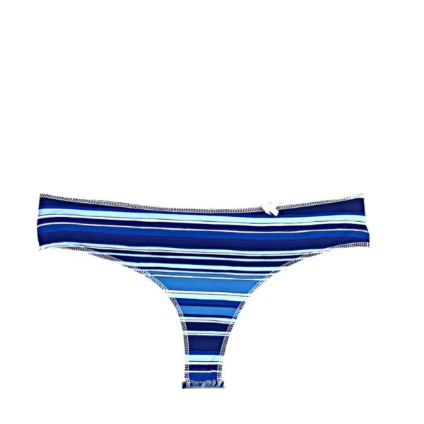 Brazilian briefs Blue stripes