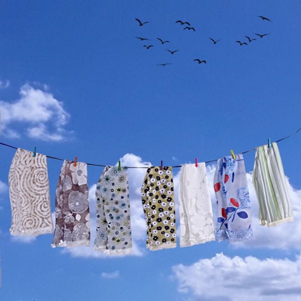 Socks Desert flowers