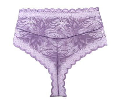 High waisted lace brazilian briefs Goddess 